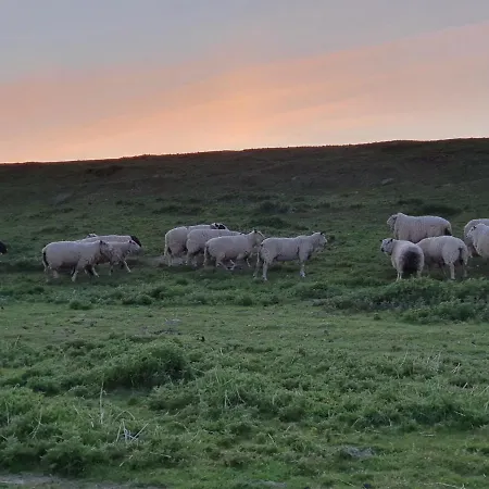 Nordlichthuus * Tönning