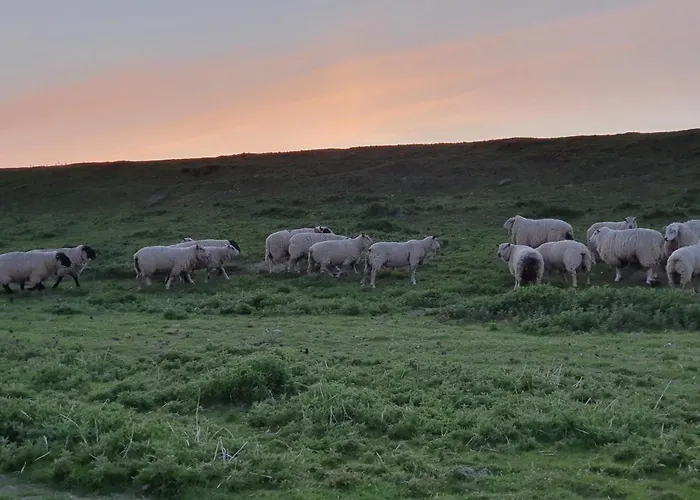 Nordlichthuus * Tönning